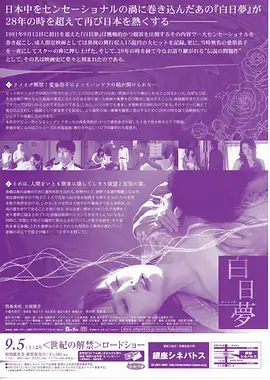 南风知我意 热播电视剧全集免费观看